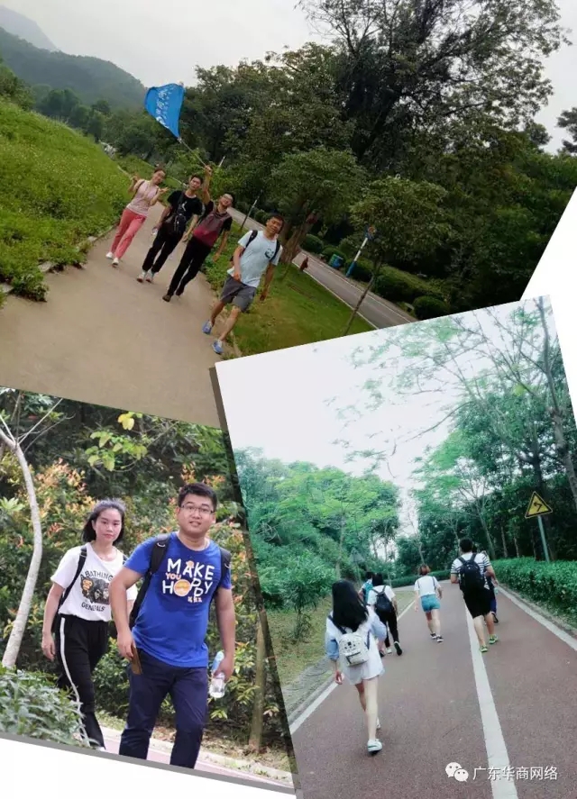 东莞网络公司