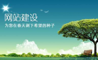 网站建设,网站建设服务,网站建设咨询