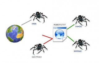 SEO优化中Robots的设置至关重要