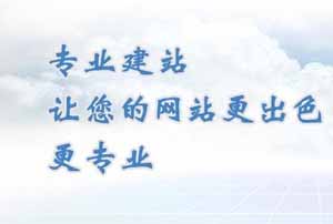 网站制作公司,东莞网站制作,专业网站制作